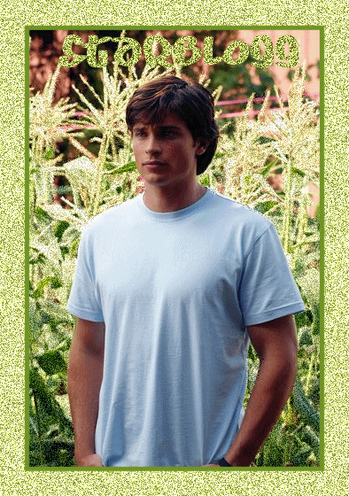 Tom Welling