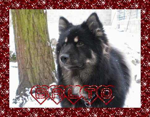 Balto